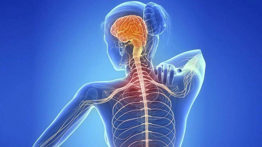 Esclerosis Múltiple en contexto de pandemia por COVID-19