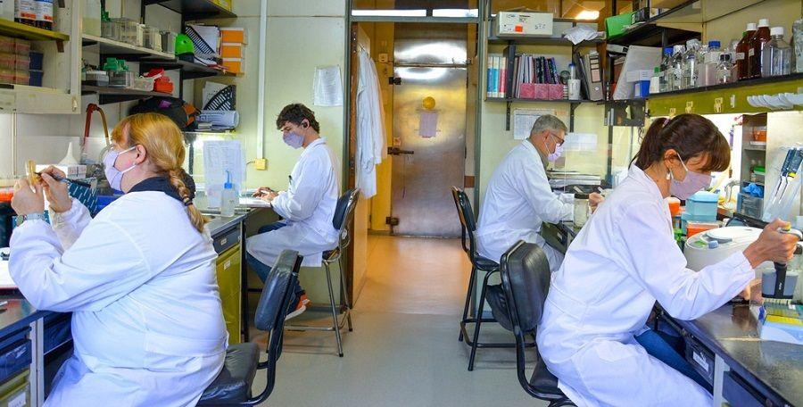 Coronavirus: Científicos argentinos avanzan en una vacuna de segunda generación