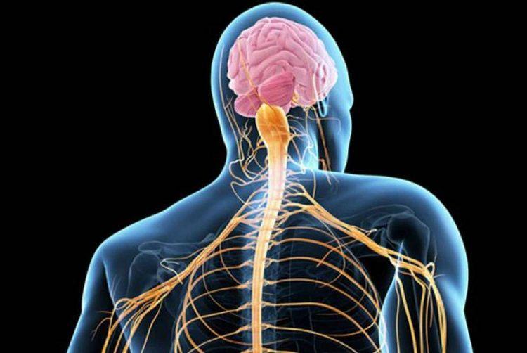 ELA una enfermedad que más allá de su origen evoluciona hacia un compromiso muscular generalizado