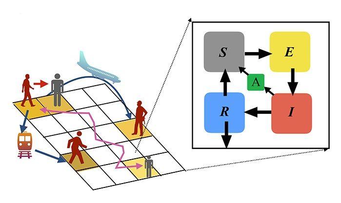 Nueva herramienta predice la evolución de la pandemia en diferentes escenarios