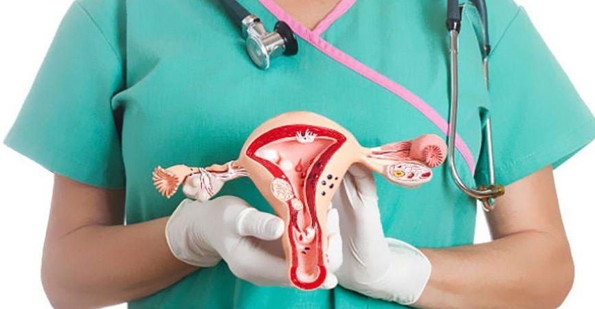 Cáncer cervicouterino: investigadora del CONICET participó del diseño de las guías de tratamiento de la OMS