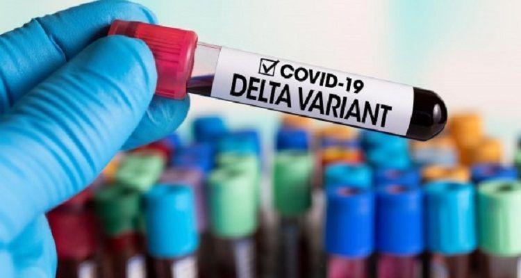 La OMS alertó que la variante Delta será la dominante en el mundo en los próximos meses