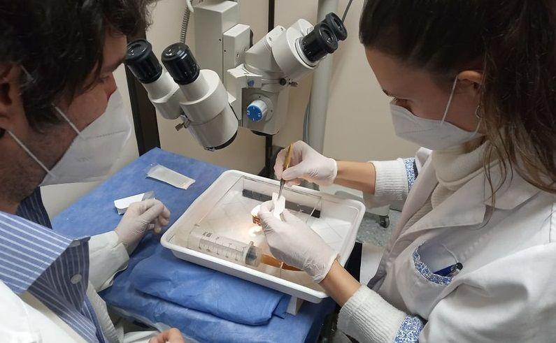 El Hospital Central de San Isidro sumó un equipo simulador de cirugías oftalmológicas