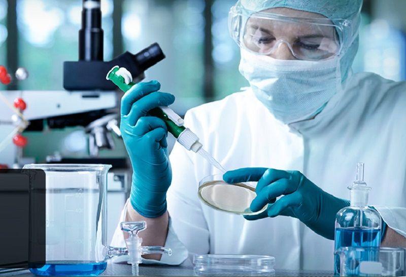 Identifican un potencial blanco terapéutico para prevenir la miocardiopatía por Chagas