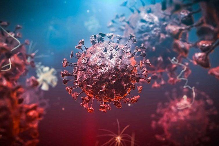 El coronavirus SARS-CoV-2 podría quedarse como el virus de la gripe