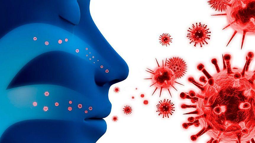 ¿Cuál es la ventana de 5 días en la que la COVID-19 es más transmisible?