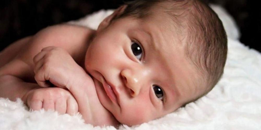 ¡DETENGAN ESTA MASACRE!