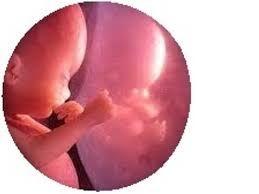 Biden reafirma su apoyo al aborto luego que entró en vigor ley provida en Texas