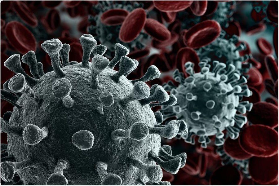 Guerra microbiológica: una bacteria podría proteger contra el nuevo coronavirus