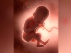 Varias desarrolladoras se distancian de Tripwire tras las declaraciones antiaborto de su director