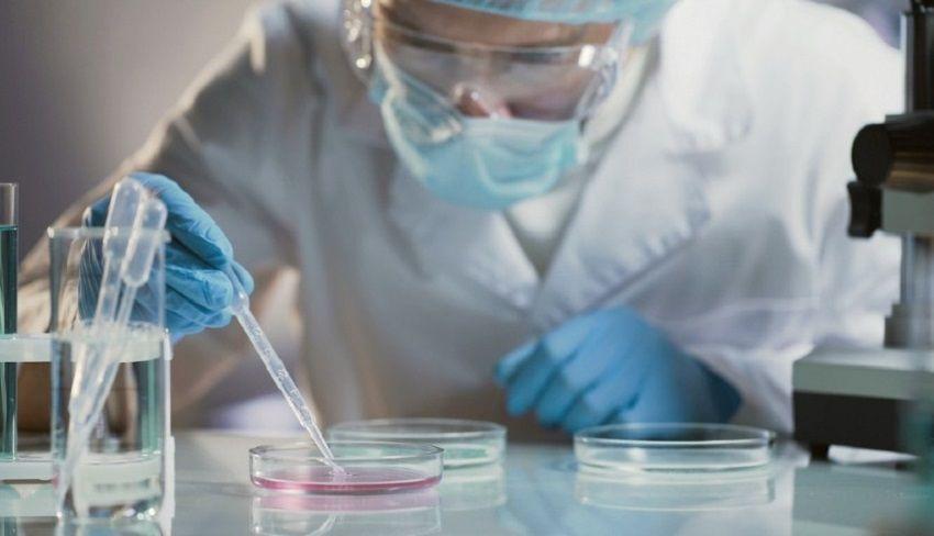 En Argentina logran describir una fase clave de la maduración de los virus de dengue y del zika