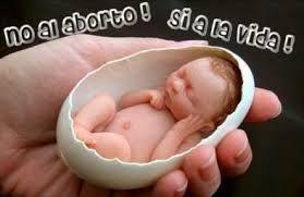 México: denuncian “suprema contradicción” en fallo de Suprema Corte contra objeción de conciencia