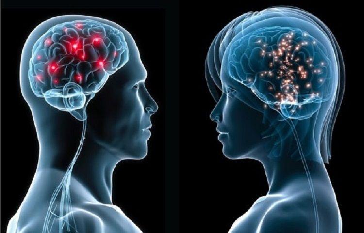 Concluyó la 2da. Edición del Simposio Internacional enfocado en Neurociencias y Bienestar