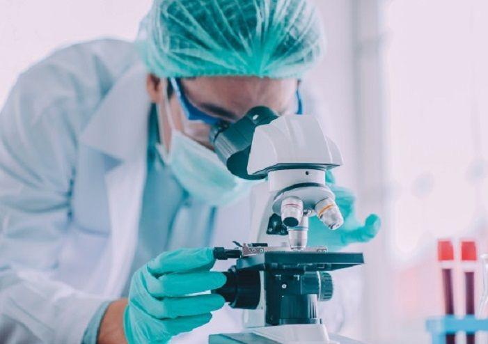 Logran caracterizar una familia de proteínas que las bacterias patógenas usan para resistir antibióticos