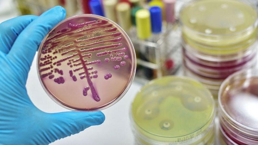 Vizzotti, sobre la resistencia antimicrobiana: