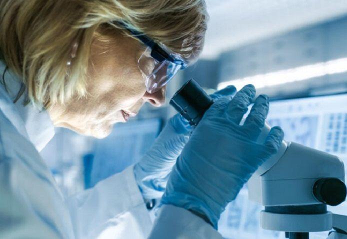 Identifican los genes que intervienen en la artrosis