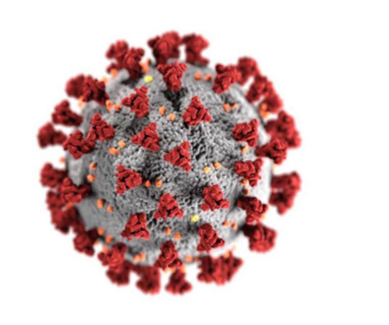 El Covid-19 en números para entender