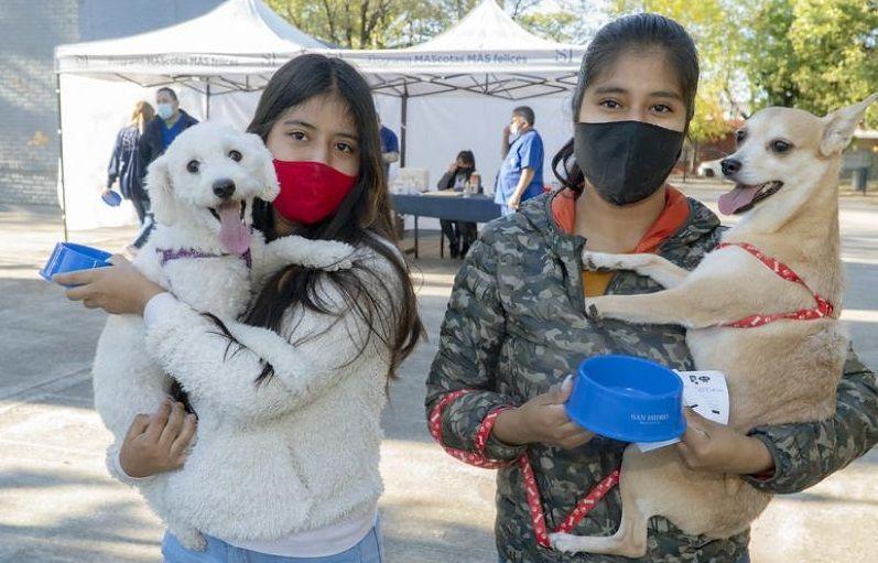 San Isidro: Dónde vacunar mascotas en forma gratuita