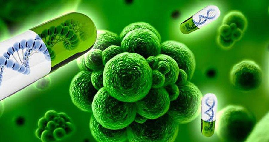 Las bacterias resistentes a los antibióticos causan más muertes que el VIH o la malaria