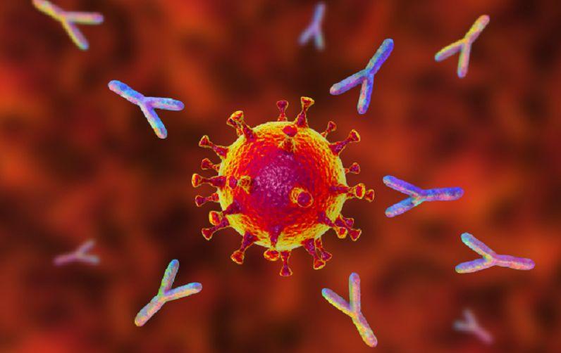 6 de cada 10 personas no vacunadas, no posee anticuerpos contra el coronavirus