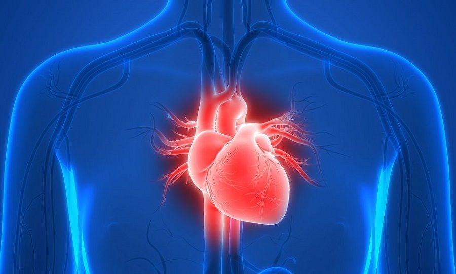Estudio: 5 de cada 100 pacientes con COVID-19 desarrollará algún problema de corazón