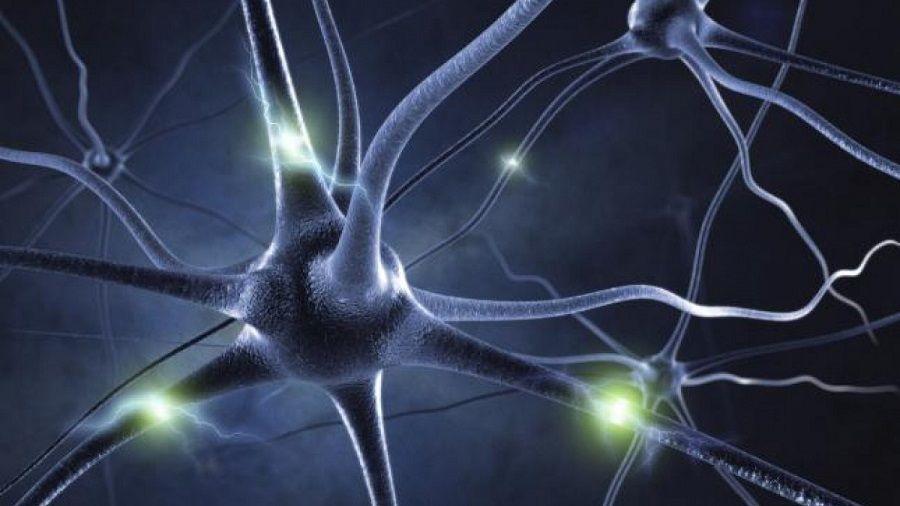 ¿Pueden las endorfinas ser un complemento para superar el estrés o la depresión?