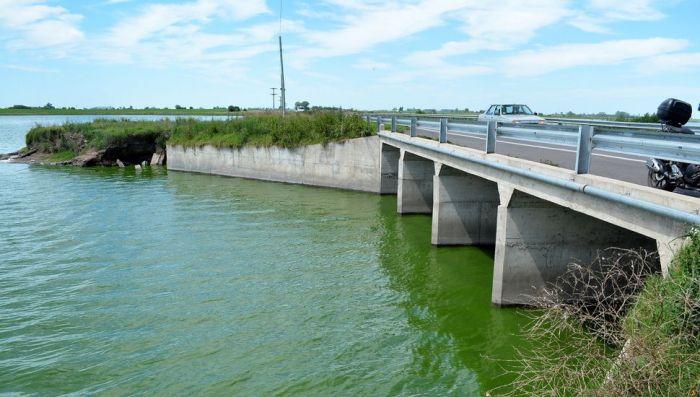 La Provincia emitió un alerta por riesgo de intoxicación con cianobacterias en Junín
