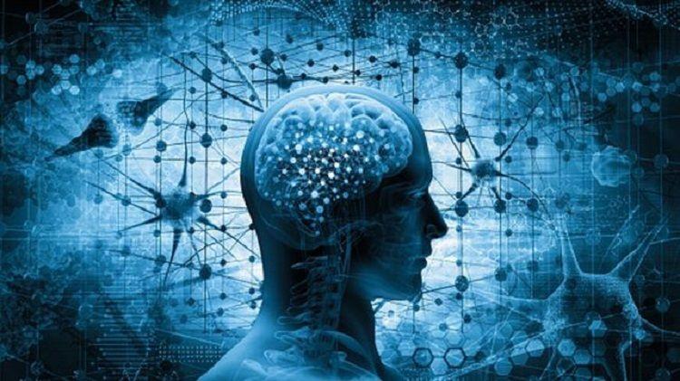 La COVID-19 puede provocar cambios en el cerebro incluso en los casos leves