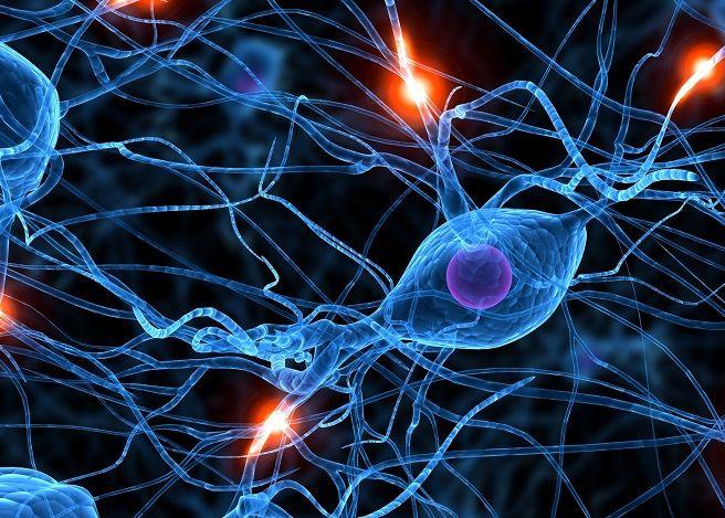 La pérdida de audición y la epilepsia también son signos tempranos de la enfermedad Parkinson