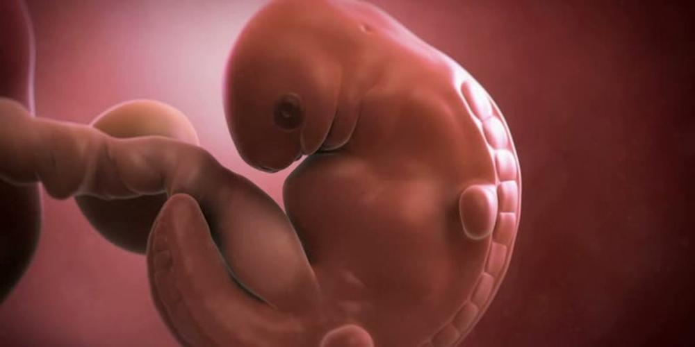 LA CORTE SUPREMA DE TEXAS CONFIRMÓ LA LEY DE LATIDOS FETALES