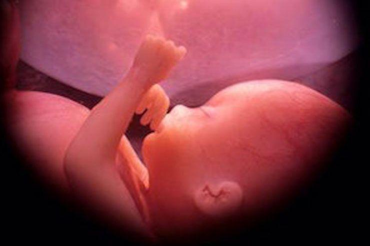 Chile: Convención Constitucional aprueba derecho al aborto