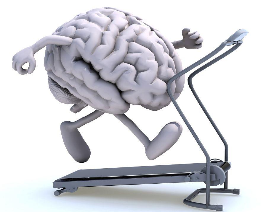 Neurorehabilitación: un abordaje interdisciplinario mejora la calidad de vida