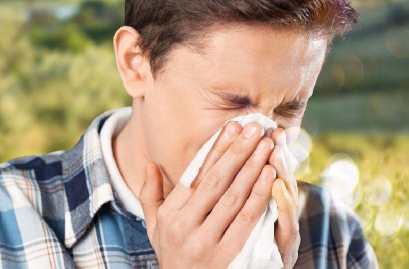 El cambio climático podría provocar temporadas de alergia más largas e intensas