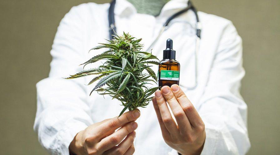 Cannabis medicinal: todos sus beneficios contra la epilepsia