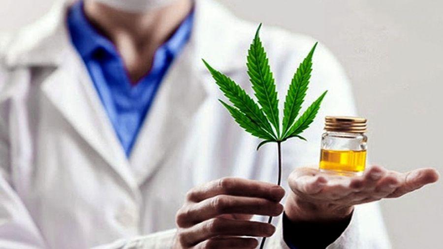 El Ministerio de Salud publicó nuevas condiciones para el Registro del Programa de Cannabis