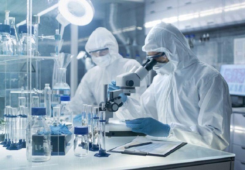 COVID-19: estudio reveló que la variante Ómicron no eliminó a la Delta y podría resurgir