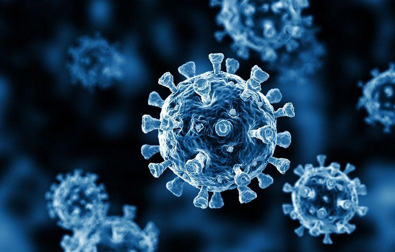 Ácidos siálicos permiten al SARS-CoV-2 entrar e interactuar con las células