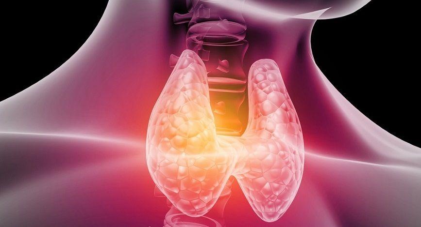 El 60% de las personas con problemas de tiroides desconoce su condición