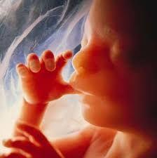 Starbucks se ofrece a pagar los viajes de las empleadas que quieran practicarse un aborto