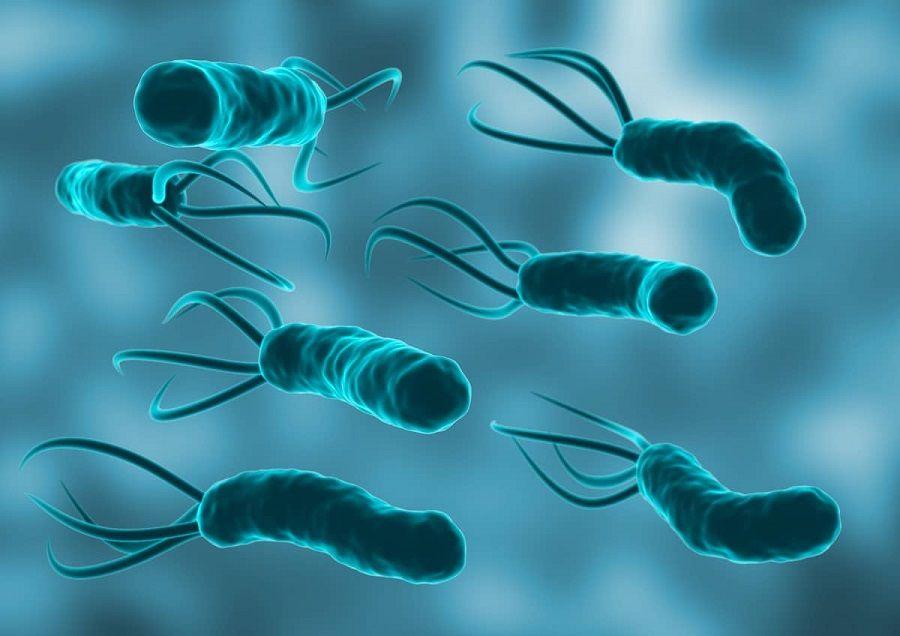 Primer medicamento 100% nacional para el tratamiento del Helicobacter Pylori