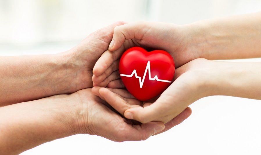 Día Nacional de la Donación de Órganos: Salud recuerda la importancia de este acto solidario