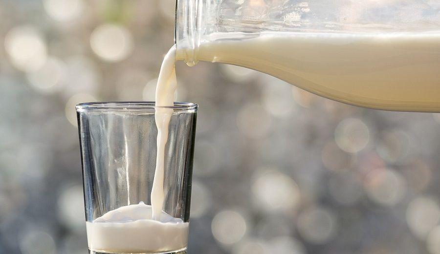 Un suplemento de proteínas de suero de leche ayuda a controlar la diabetes tipo 2