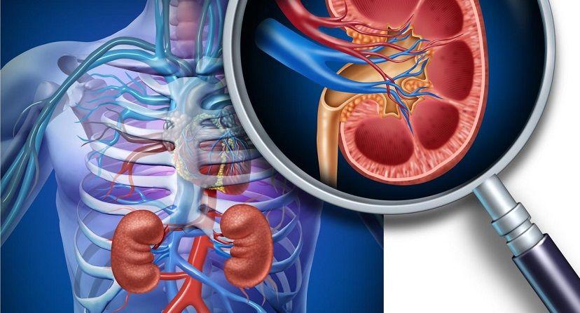 Presentaron la campaña ¨Hablemos de Cáncer Renal¨