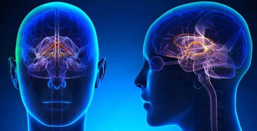 El desafío de la Neurorehabilitación y el Neurodesarrollo