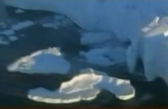 Video de la hora del planeta 2010