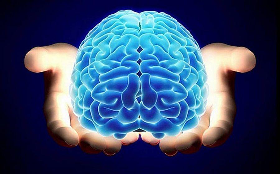 La importancia de cuidar a nuestro cerebro