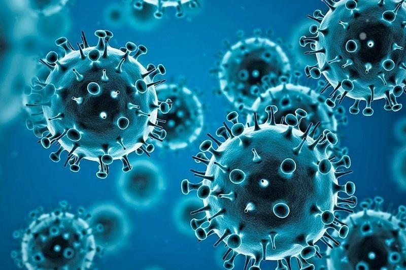 China en alerta por 35 personas infectadas con un nuevo virus zoonótico