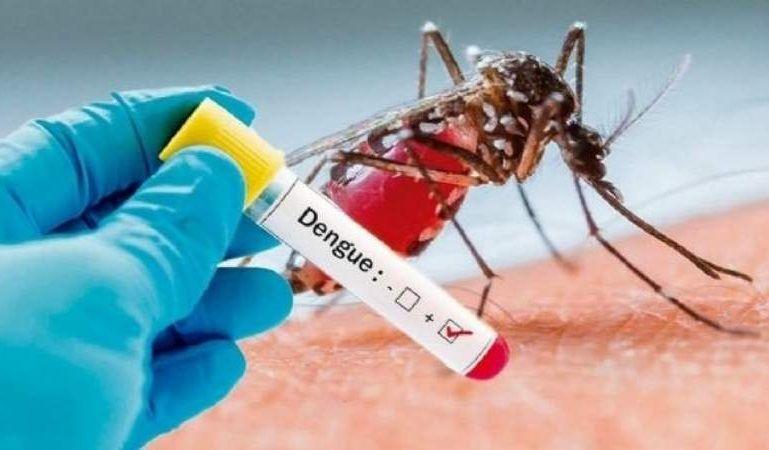 Especialistas advierten sobre un posible nuevo brote de dengue y llaman a estar prevenidos