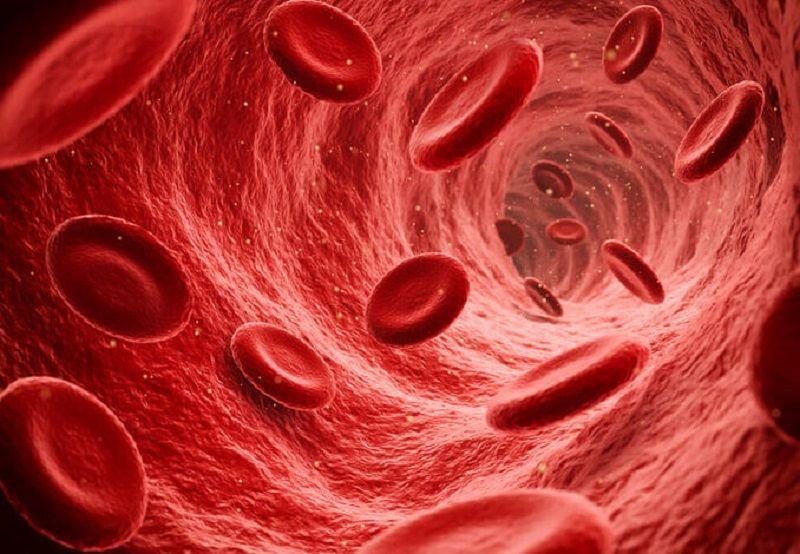 La EMA aprueba la primera terapia génica para hemofilia A severa