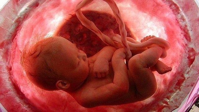 Disney no solo paga viajes de abortos, también recorta beneficios de maternidad y paternidad